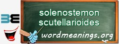 WordMeaning blackboard for solenostemon scutellarioides